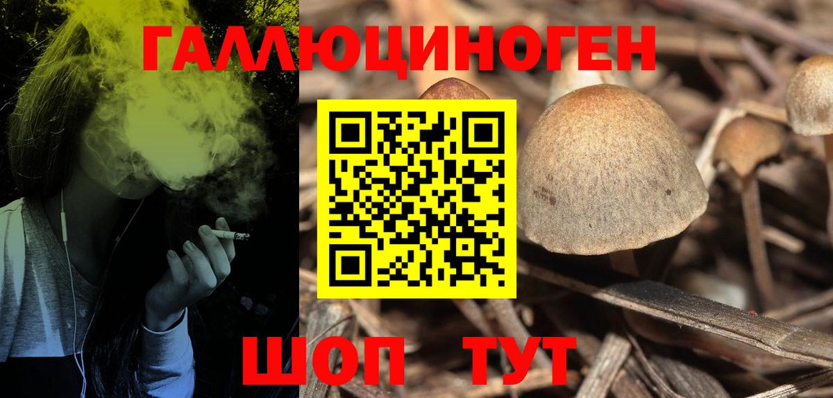 Псилоцибиновые грибы Psilocybe  Вход с VPN  Лесозаводск  закладки  Галлюциногенные грибы GOLDEN TEACHER 